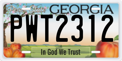 GA license plate PWT2312