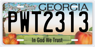 GA license plate PWT2313