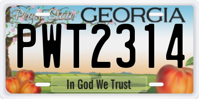 GA license plate PWT2314