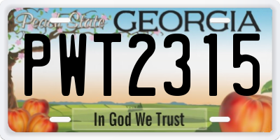 GA license plate PWT2315