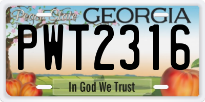 GA license plate PWT2316