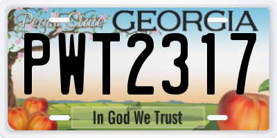 GA license plate PWT2317