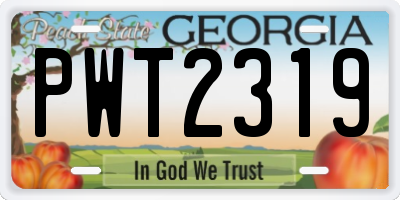 GA license plate PWT2319