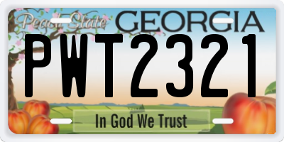 GA license plate PWT2321