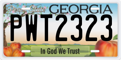 GA license plate PWT2323