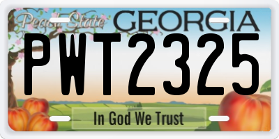 GA license plate PWT2325