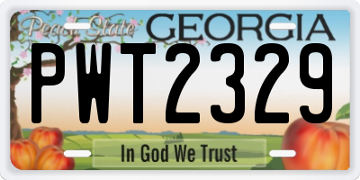GA license plate PWT2329