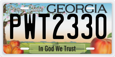 GA license plate PWT2330