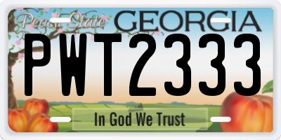 GA license plate PWT2333