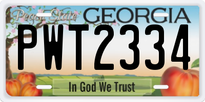 GA license plate PWT2334