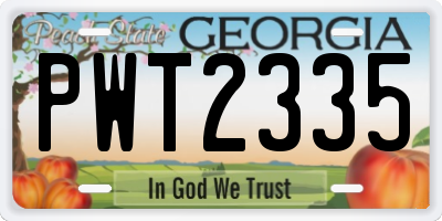 GA license plate PWT2335