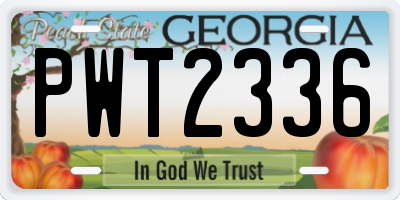 GA license plate PWT2336