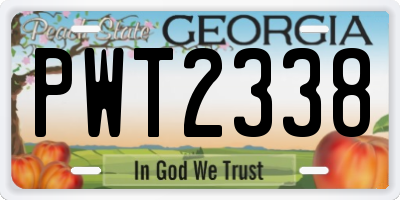 GA license plate PWT2338