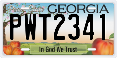 GA license plate PWT2341