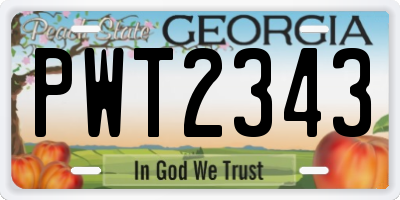 GA license plate PWT2343
