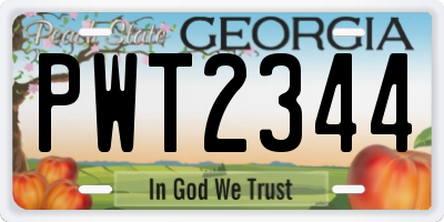GA license plate PWT2344