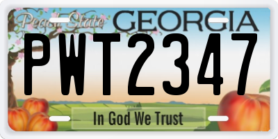 GA license plate PWT2347