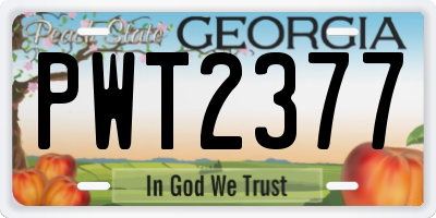 GA license plate PWT2377