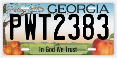 GA license plate PWT2383