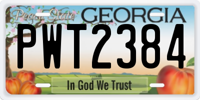 GA license plate PWT2384