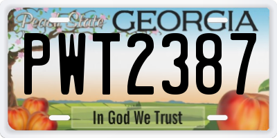 GA license plate PWT2387