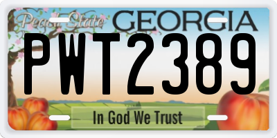 GA license plate PWT2389