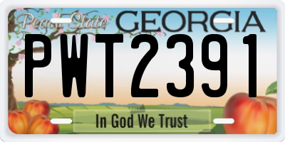 GA license plate PWT2391