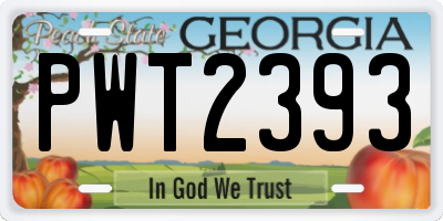 GA license plate PWT2393