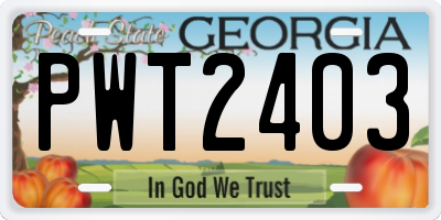 GA license plate PWT2403