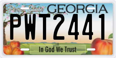 GA license plate PWT2441