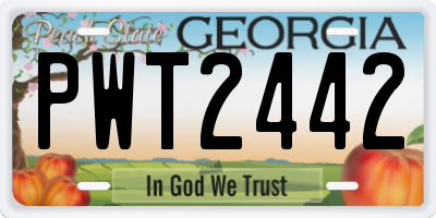 GA license plate PWT2442