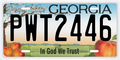 GA license plate PWT2446
