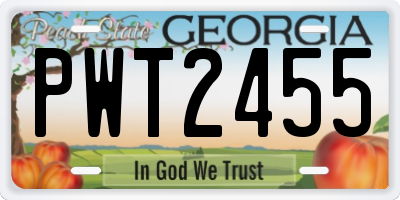 GA license plate PWT2455