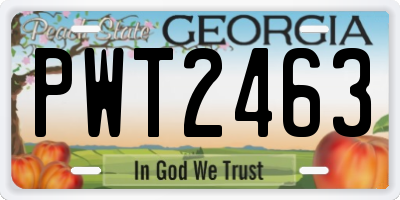 GA license plate PWT2463