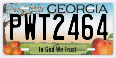 GA license plate PWT2464