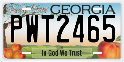 GA license plate PWT2465
