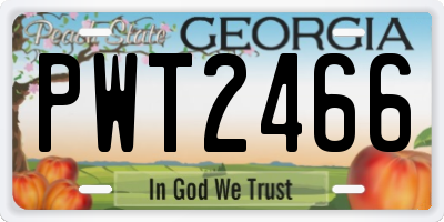 GA license plate PWT2466