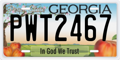 GA license plate PWT2467