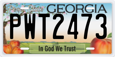 GA license plate PWT2473