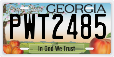 GA license plate PWT2485