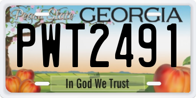 GA license plate PWT2491