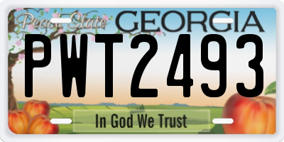 GA license plate PWT2493