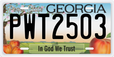 GA license plate PWT2503