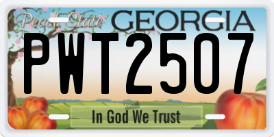 GA license plate PWT2507