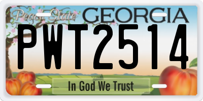 GA license plate PWT2514