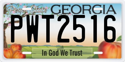 GA license plate PWT2516