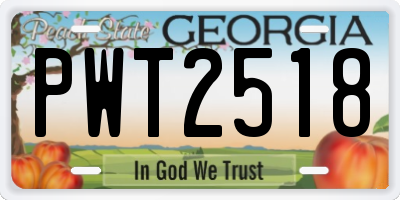 GA license plate PWT2518