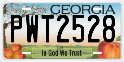 GA license plate PWT2528