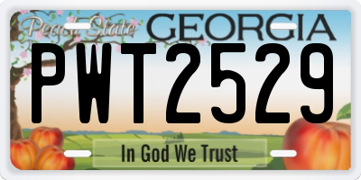 GA license plate PWT2529