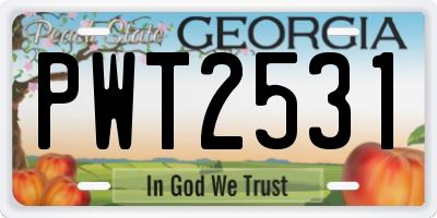 GA license plate PWT2531